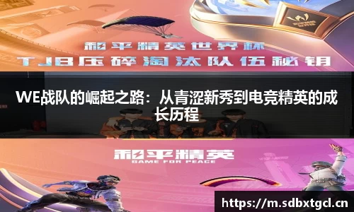 WE战队的崛起之路：从青涩新秀到电竞精英的成长历程