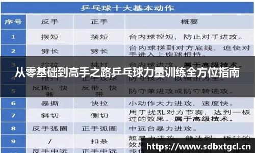 从零基础到高手之路乒乓球力量训练全方位指南