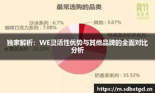 独家解析：WE灵活性优势与其他品牌的全面对比分析
